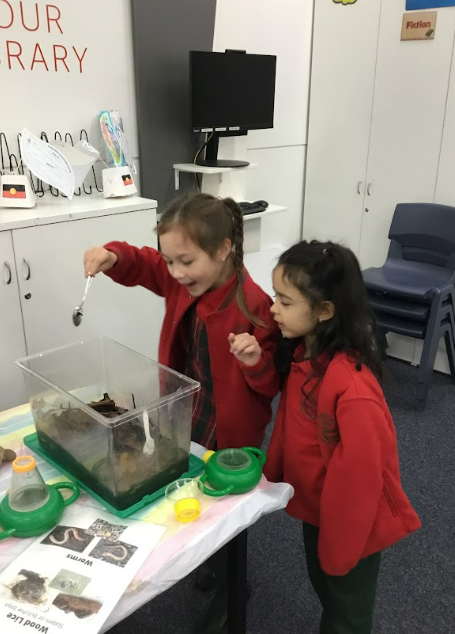 /uploaded_files/media/gallery/1763346259Screenshot 2025-11-17 132202.png